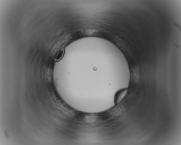 X0000103450470200809261821