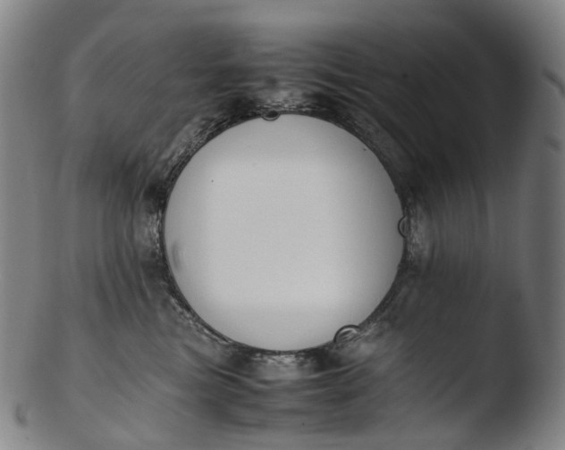 X0000103450473200809261821