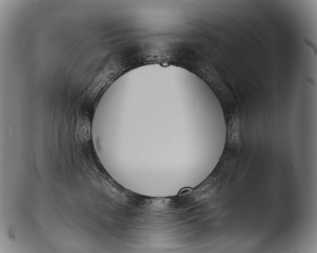 X0000103450474200809261821