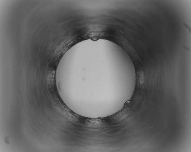 X0000103450475200809261821