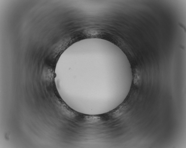 X0000103450476200809261821