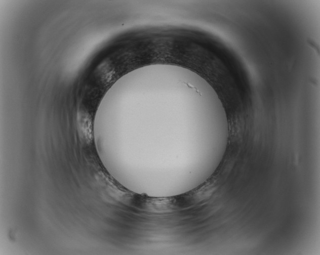 X0000103450479200809261821