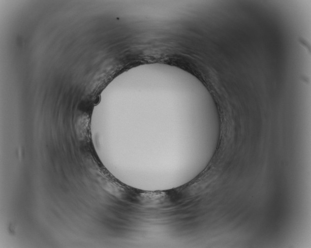 X0000103450480200809261821