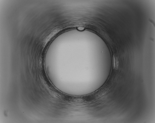 X0000103450483200809261820