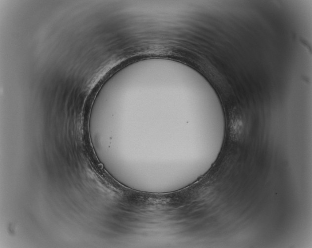 X0000103450484200809261820