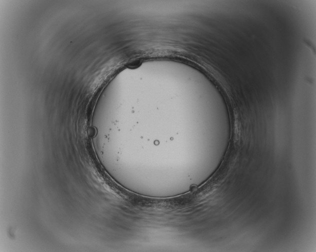 X0000103450485200809261820