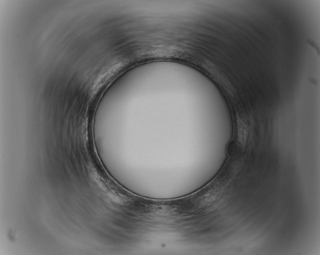 X0000103450486200809261820