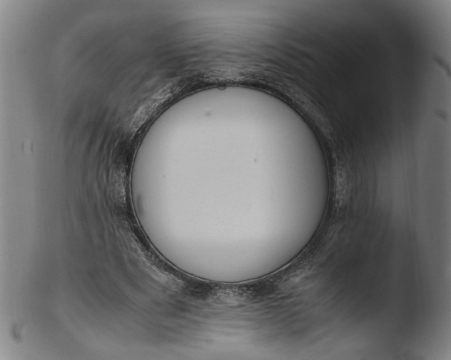 X0000103450489200809261820