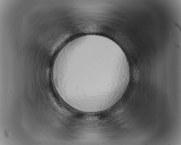 X0000103450491200809261820