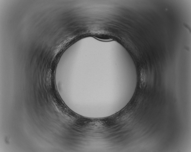 X0000103450492200809261820