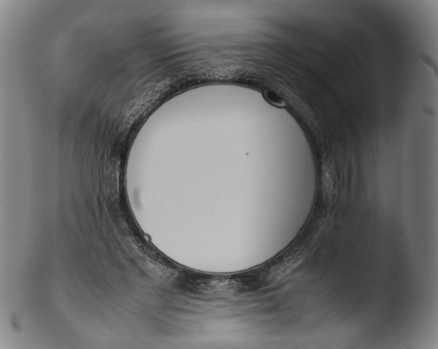 X0000103450493200809261820