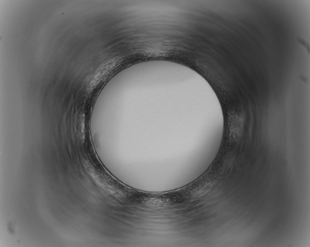 X0000103450494200809261820