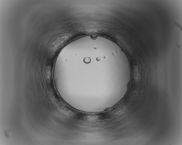 X0000103450495200809261820