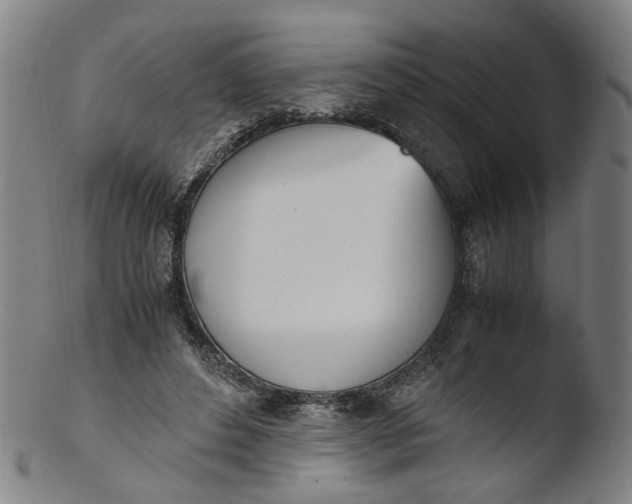 X0000103450496200809261820