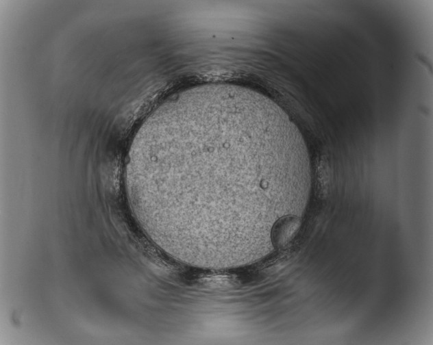 X0000103450499200809261820