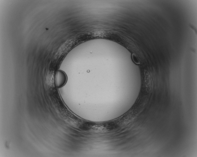 X0000103450502200809261820