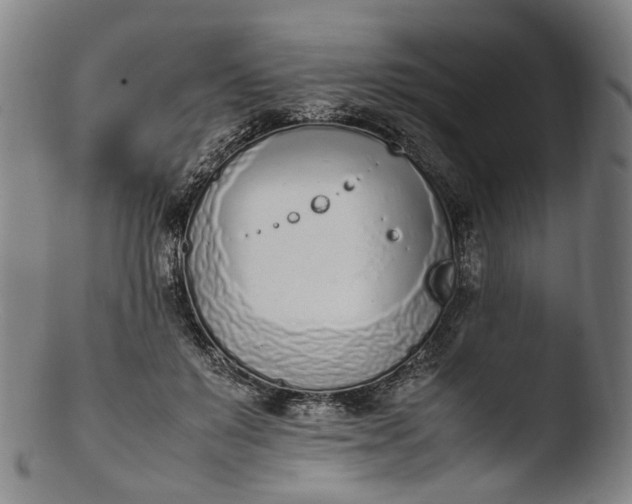 X0000103450503200809261820