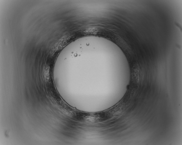 X0000103450504200809261820