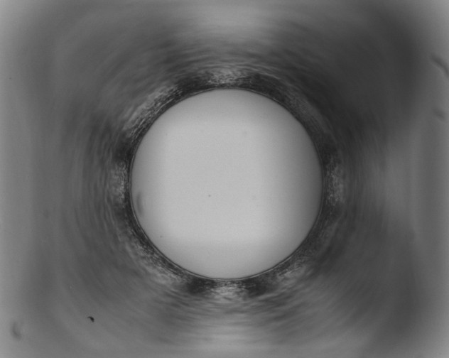 X0000103450505200809261820