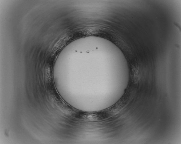 X0000103450506200809261820