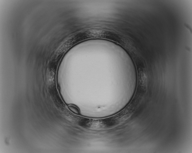 X0000103450507200809261820