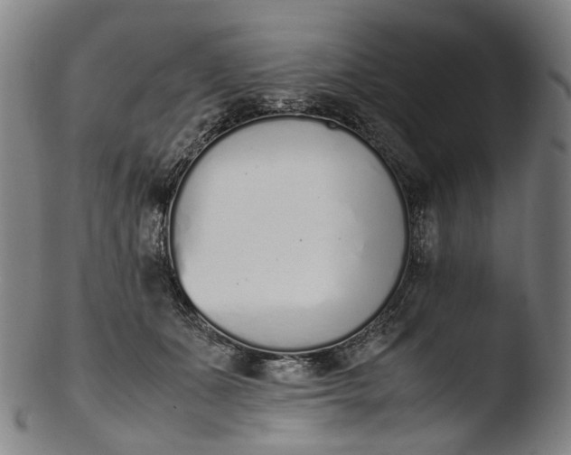 X0000103450511200809261820