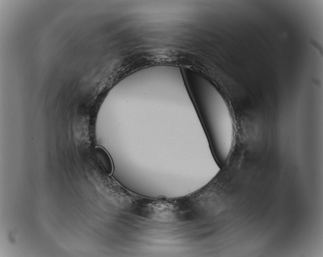 X0000103450512200809261820