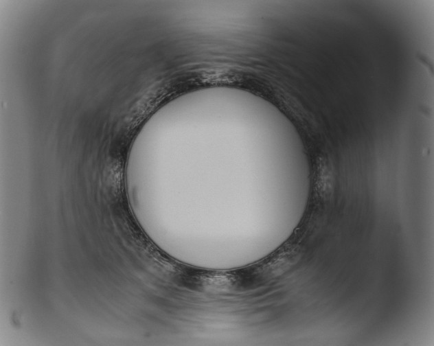 X0000103450513200809261820