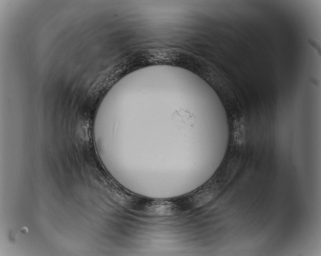 X0000103450514200809261820