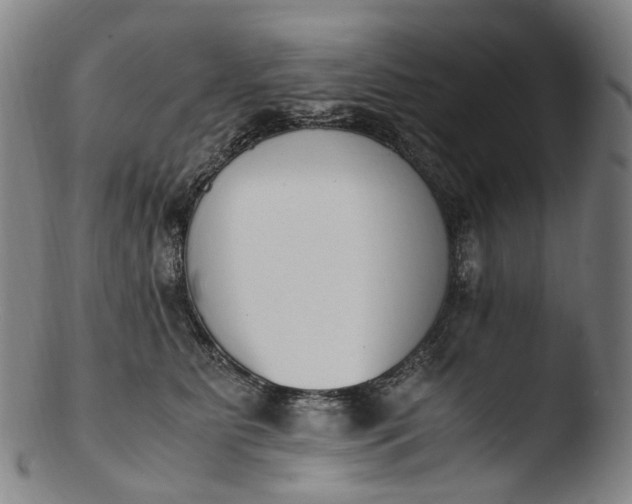 X0000103450515200809261820