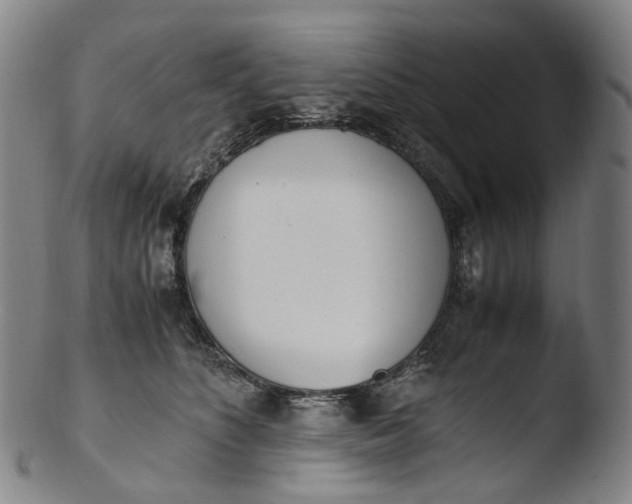 X0000103450516200809261820