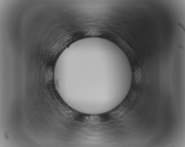 X0000103450517200809261820