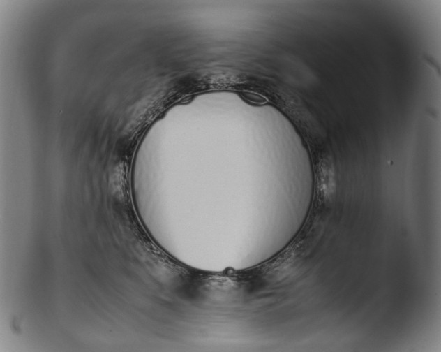 X0000103450519200809261820