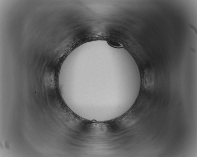 X0000103450520200809261820