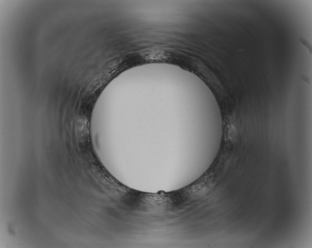 X0000103450521200809261820