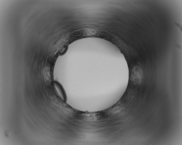 X0000103450524200809261820