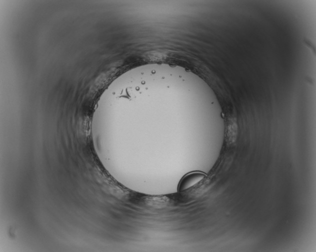 X0000103450525200809261820