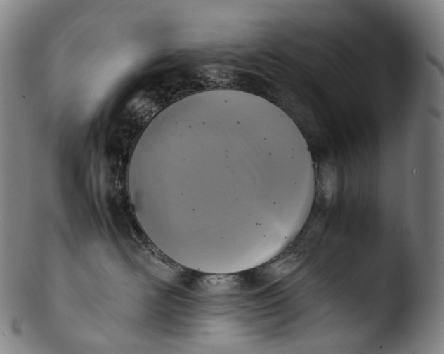 X0000103450526200809261820