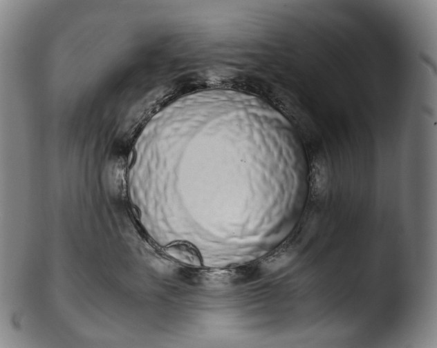 X0000103450527200809261820