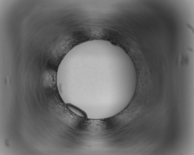 X0000103450528200809261820