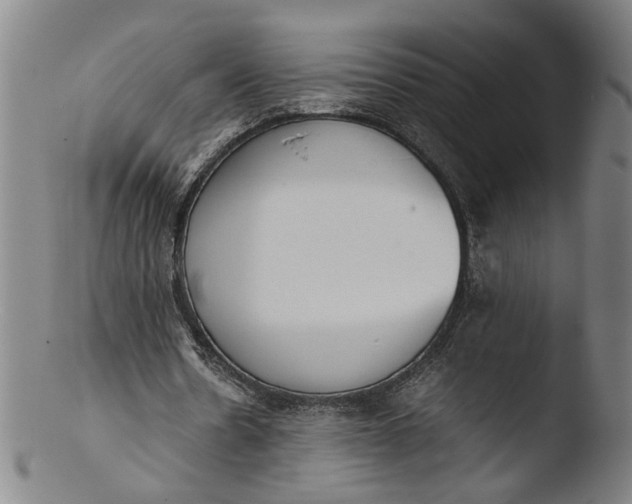 X0000103450530200809261819