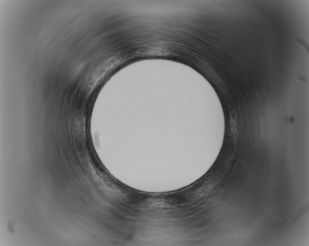 X0000103450534200809261819