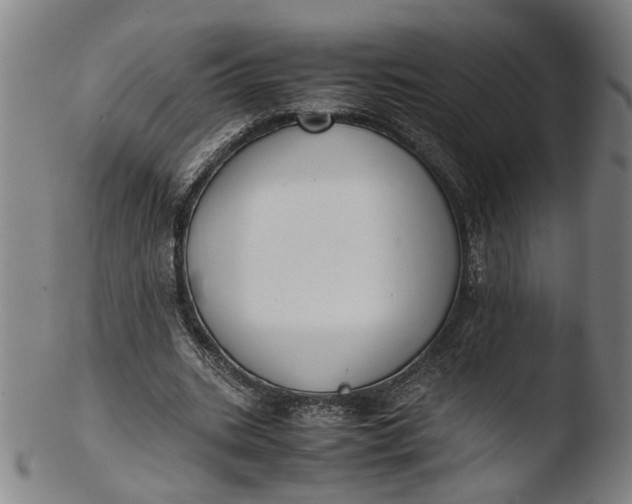 X0000103450535200809261819