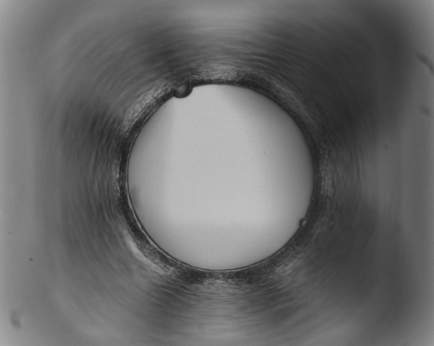 X0000103450538200809261819