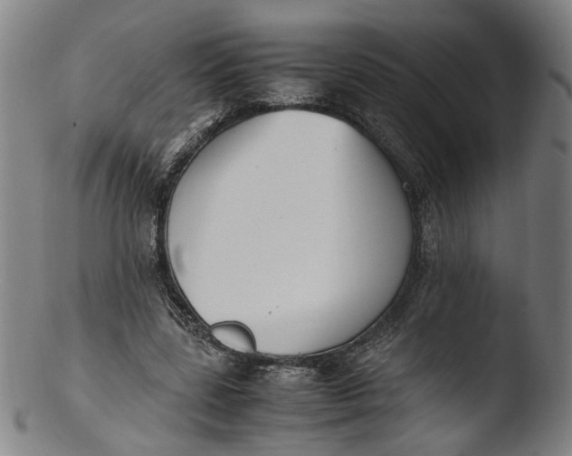 X0000103450539200809261819