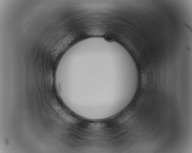 X0000103450541200809261819