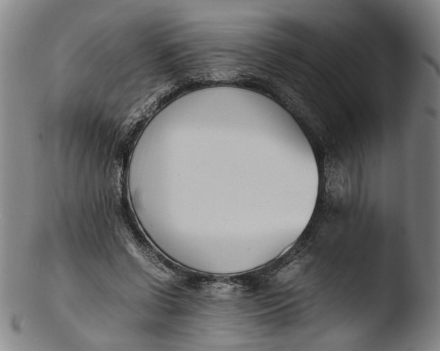 X0000103450542200809261819