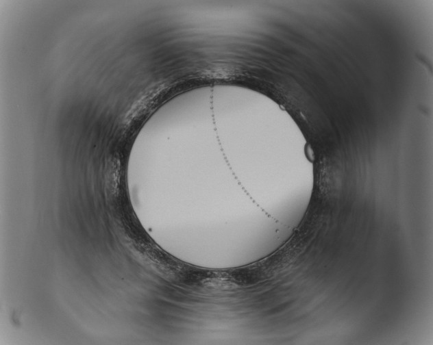 X0000103450544200809261819