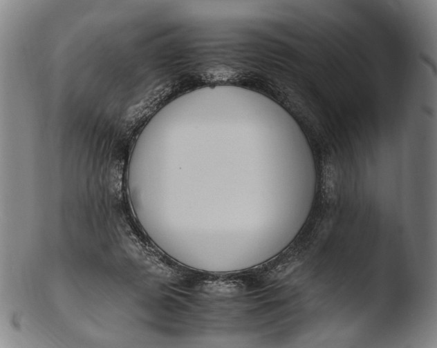 X0000103450545200809261819