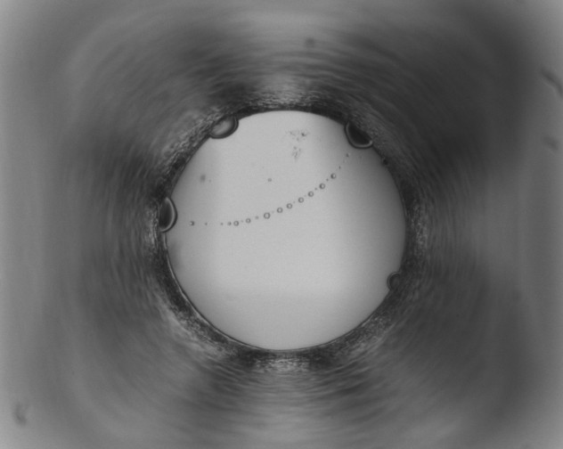 X0000103450546200809261819